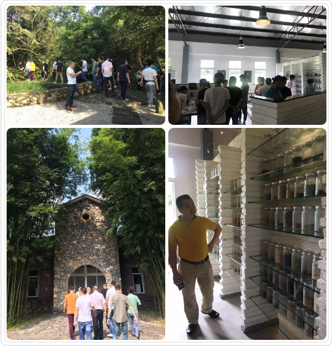 20190828153103531 首页| 9001cc金沙集团以诚为本官网